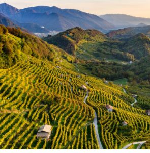 Le colline del prosecco